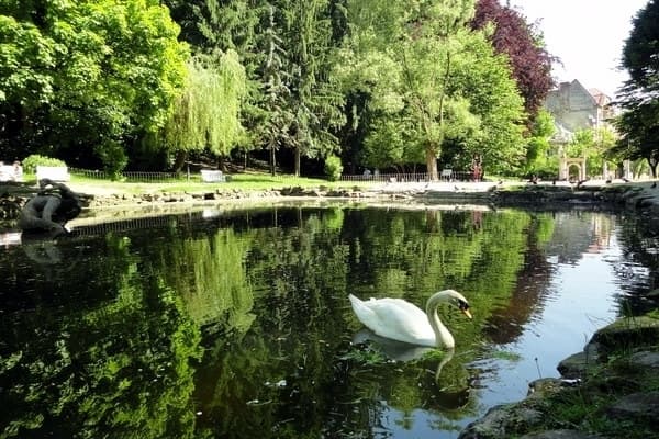 фото умовне