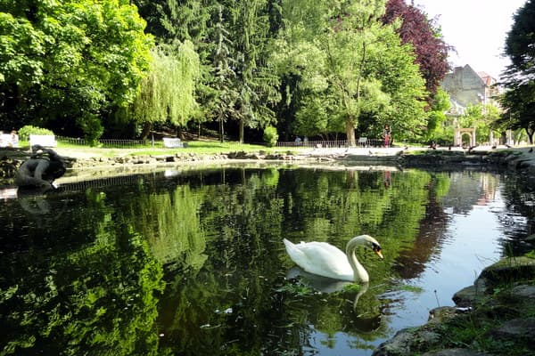 Фото умовне / Стрийський парк
