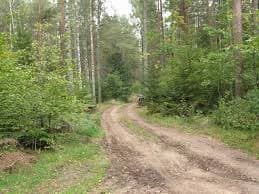 Під час спеки львів'ян закликають до обережності у парках та лісі