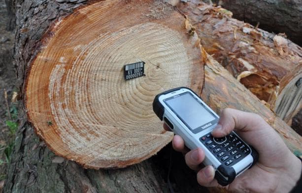 Незаконну вирубку лісу на Львівщині відстежуватимуть у режимі онлайн