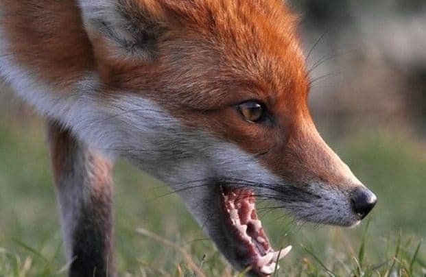 Фото умовне