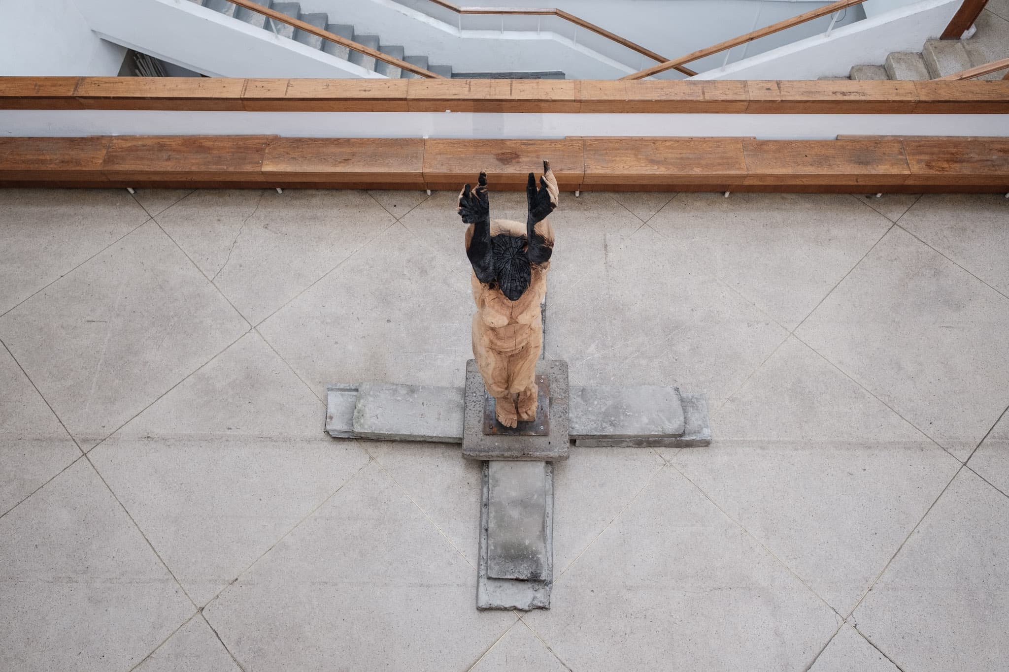 фото: виставка оаза