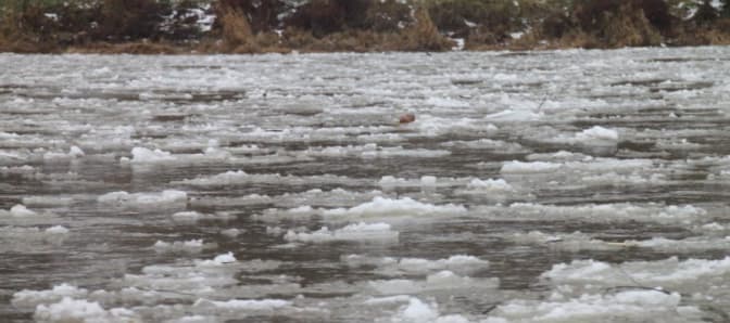 Львів’ян попереджають про льодоходи та підвищення рівню води в річках