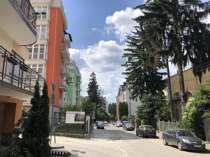 Як доглядати дерева у містах та на Погулянку у Львові чекають зміни. Підсумки доби