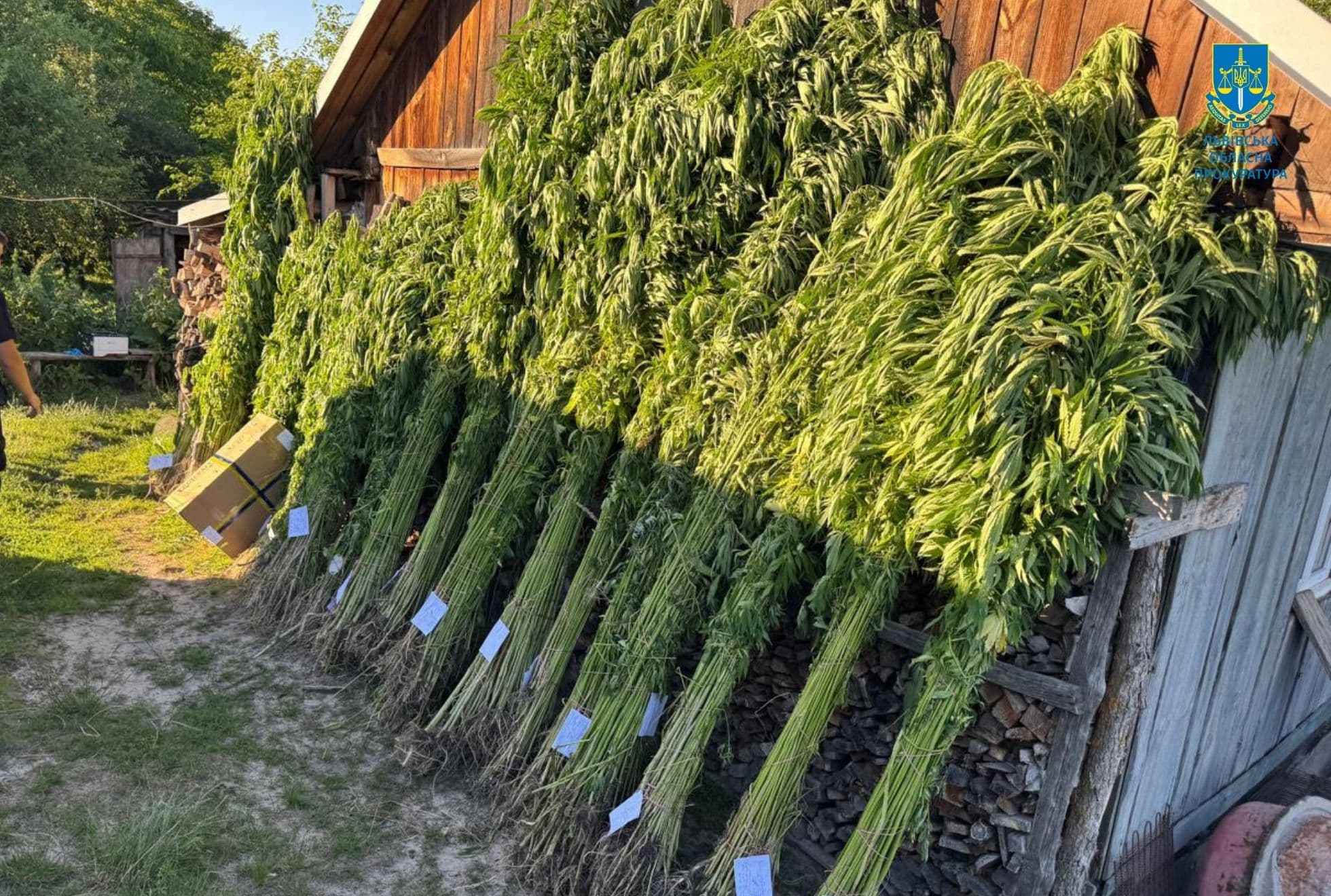 Фото прокуратури