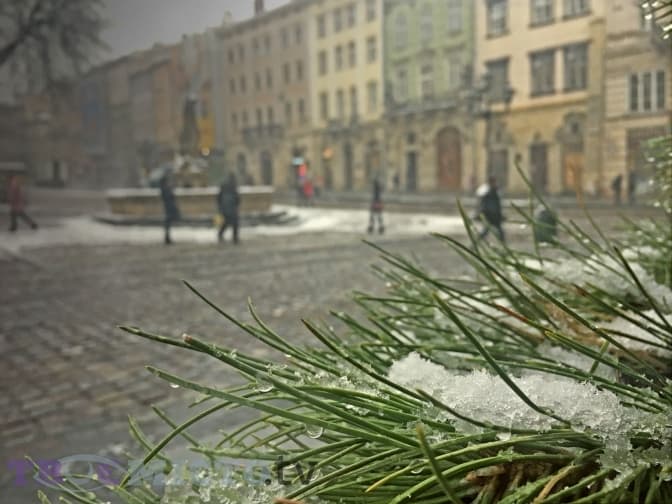 До Львова прийшла справжня зима. Атмосферні фото засніженого міста
