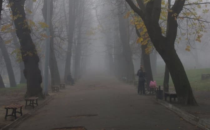 Фото: Сергій Криниця (Haidamac). Джерело: wikimedia.org