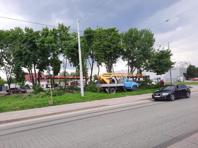 Фото: ЛКП Лев