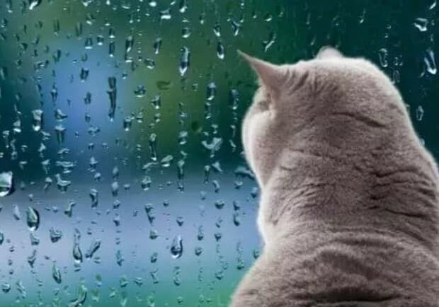 Синоптики зафіксували грудневий рекорд на Львівщині