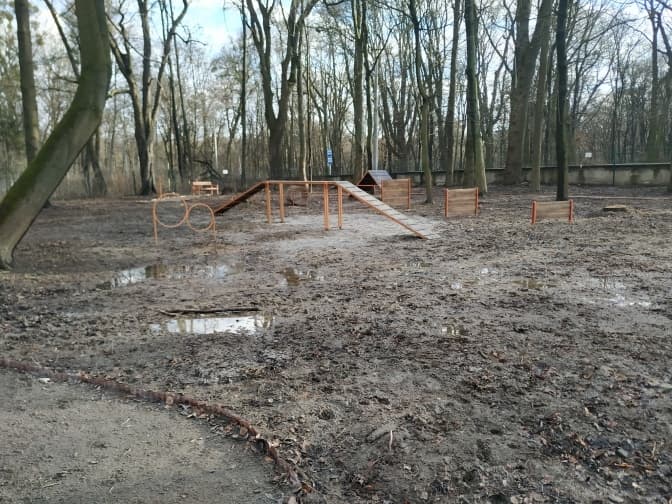 Чому майданчик для собак у Парку культури за 500 тисяч гривень має недоліки