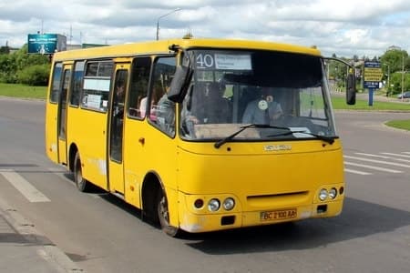 У Львові водія автобуса, який накинувся на літню жінку, відсторонили від роботи