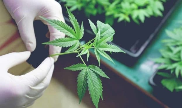 Умовне фото