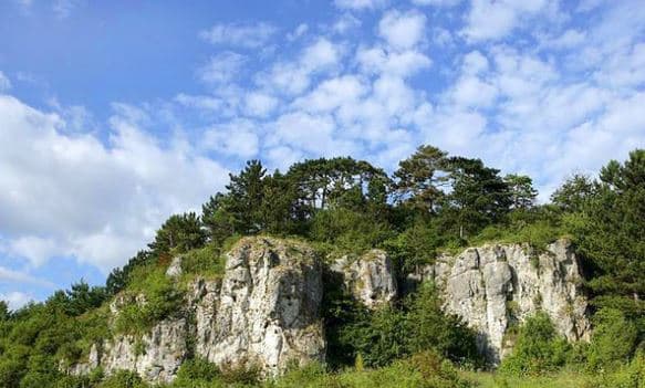 Куди поїхати на вихідні зі Львова: у мандрівку екологічною стежкою