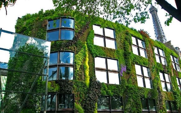 фото: boredpanda.com