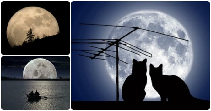 фото: 5.ua, tsn.ua, chitay.net