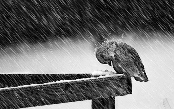 фото: fishki.net