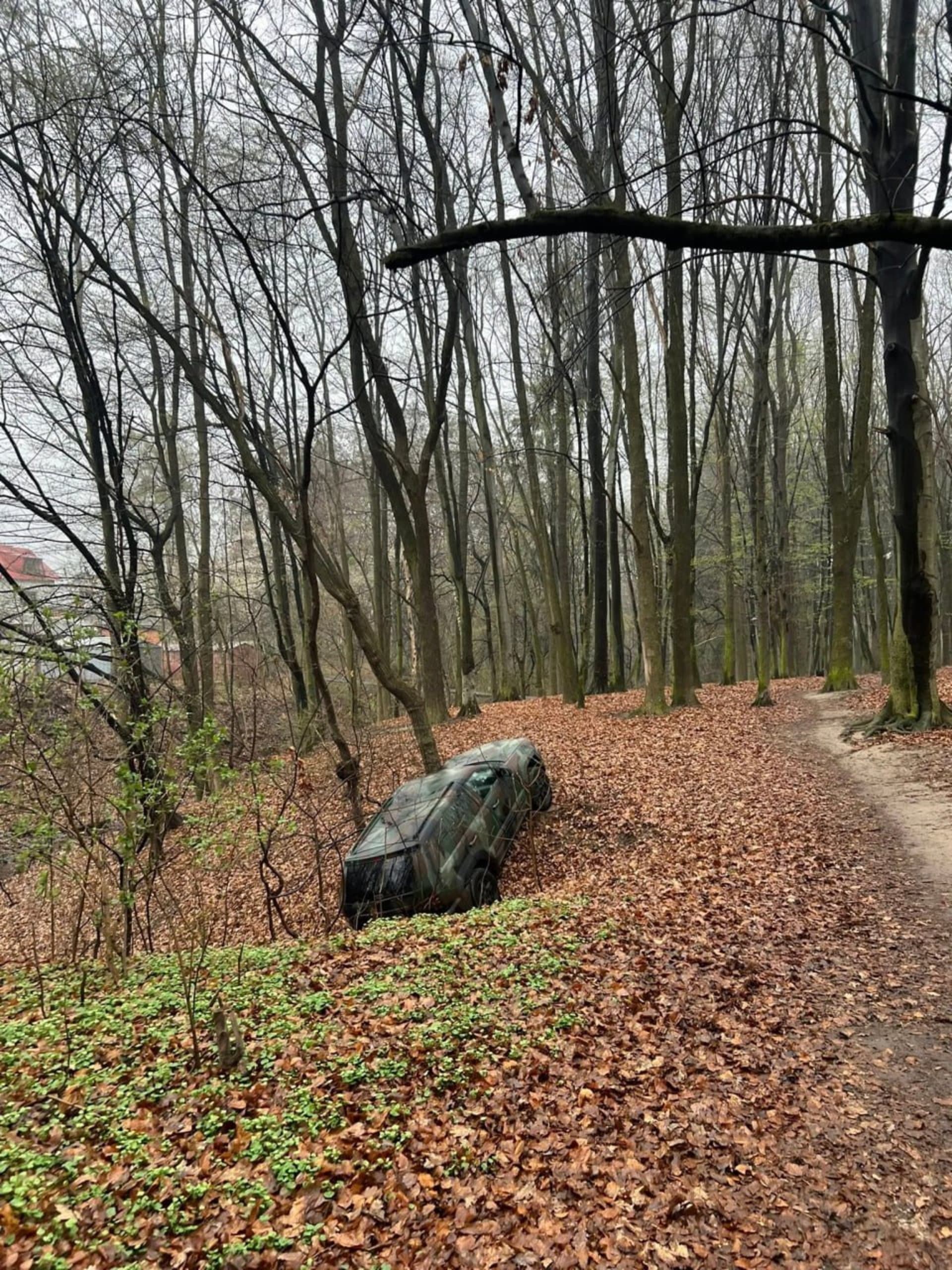 фото: Андрій Породко