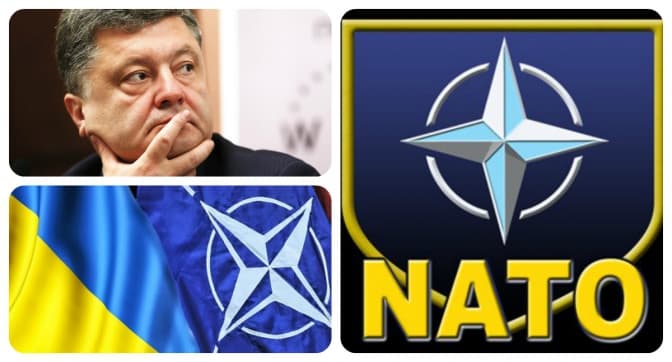 В Україні буде референдум щодо вступу до НАТО