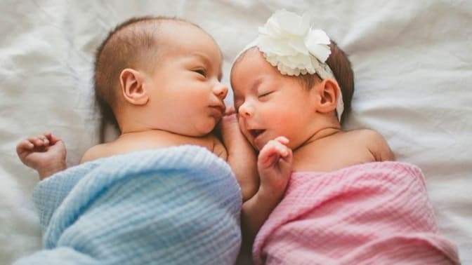 Фото: teddyclub.info