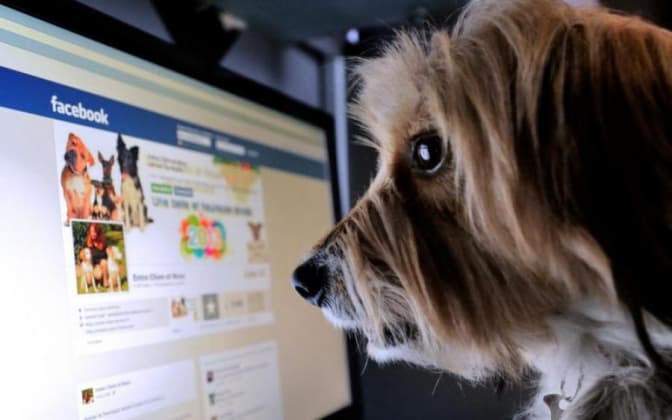 Як правильно користуватися Facebook. Річна інструкція з гумором