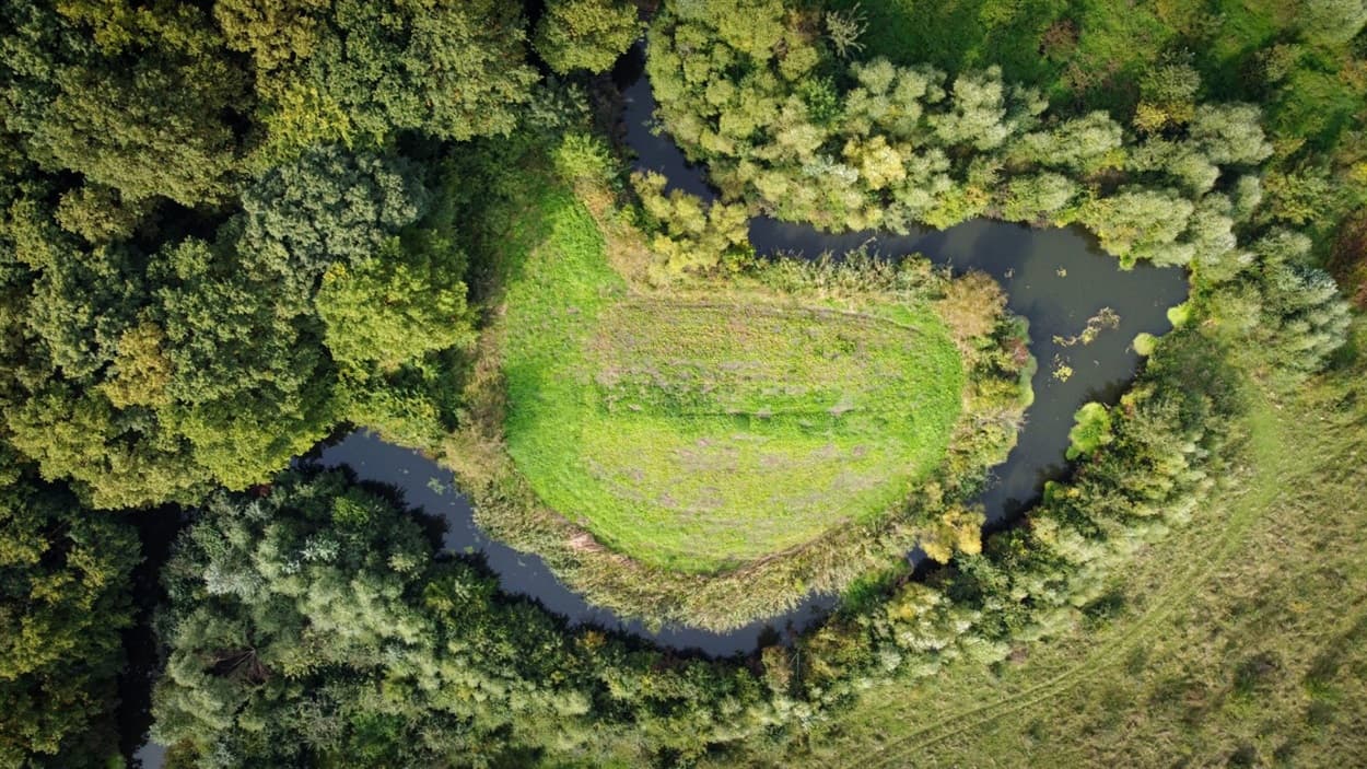 На фото - заказник "Стариці Дністра" на Львівщині / Проект “Дністер: береги та притоки”
