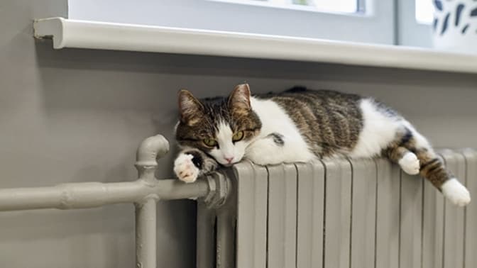 фото умовне