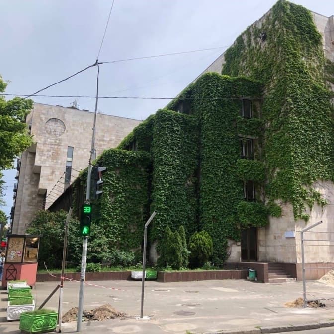 Квіти України. Фото: з відкритих джерел