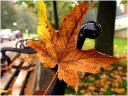 В середу на Львівщині буде без опадів