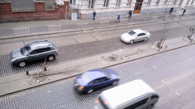 У Львові понищили сакури та платани, які висадили львів'яни . Відео