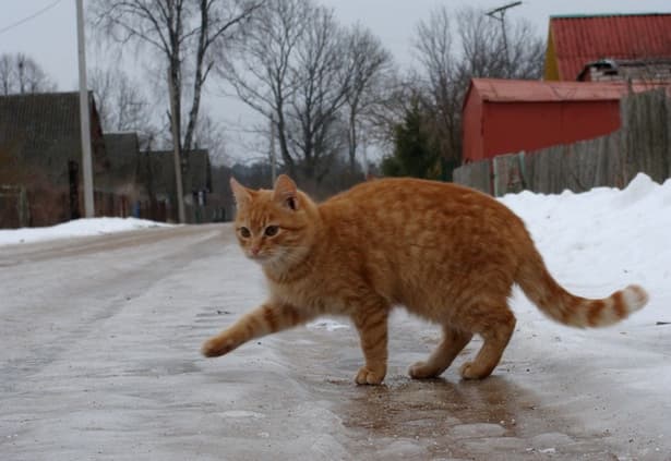 Синоптики попереджають про ожеледицю на дорогах Львова