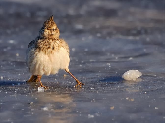 Фото: chitalnya.com