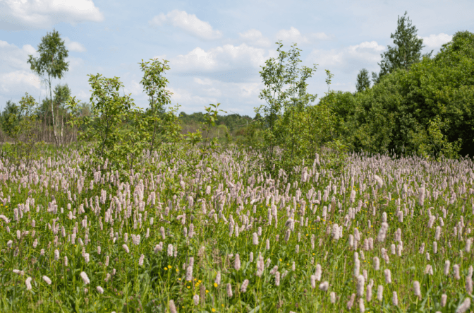 Фото: Ірина Роговик