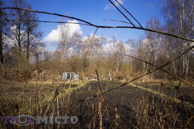 Чи буде парк на Левандівці - на торфовищах і городах мешканців? Фото