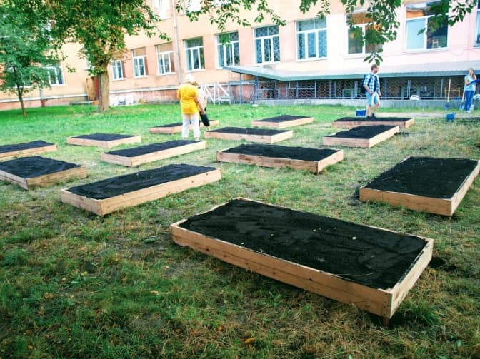 Фото: Diana Popfalushi