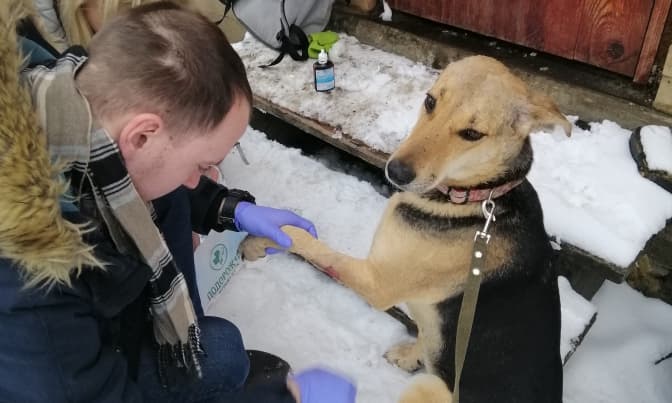 Фото:Орися Терлецька