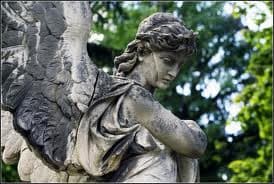 Львівська ОДА повідомила кого ховатимуть безкоштовно