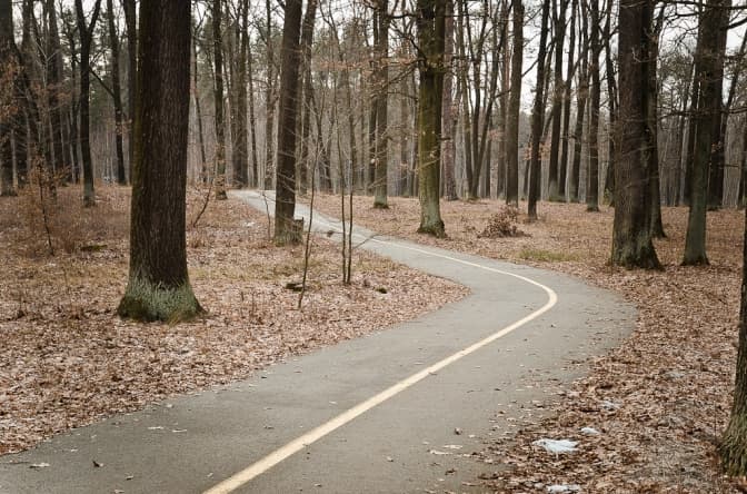 У львівському парку «Знесіння» з’явиться велодоріжка: деталі, маршрут