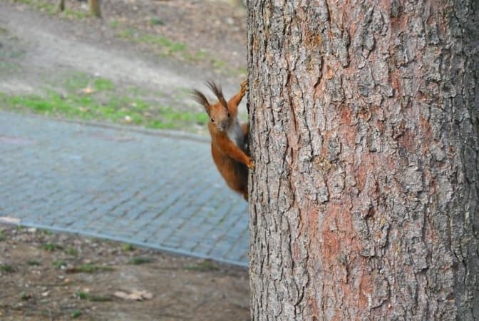 Фото: Парк культури