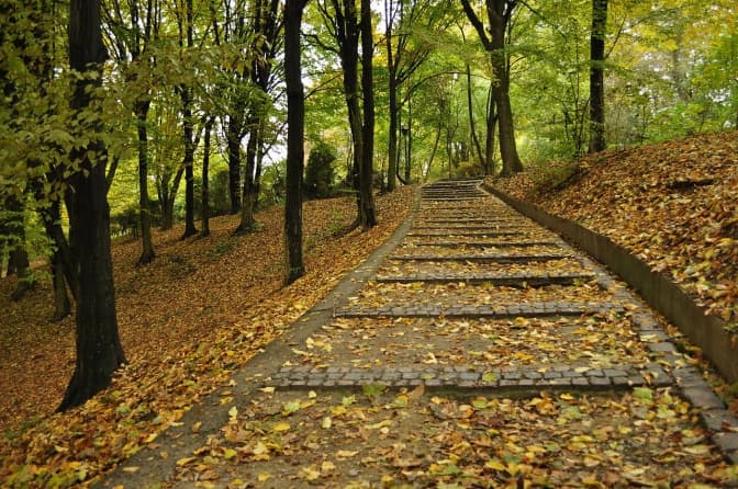 На Левандівці землю хочуть віддати під парк та забудову