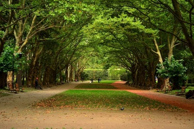 На реконструкцію львівських парків виділили 80 мільйонів гривень