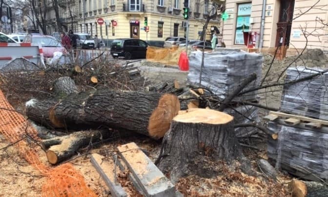 фото олександри сладкової/фейсбук