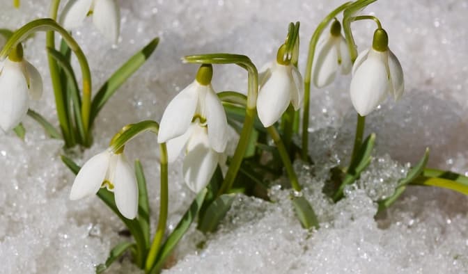 фото: соцмережі