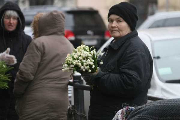Львів’ян закликають не купувати первоцвіти