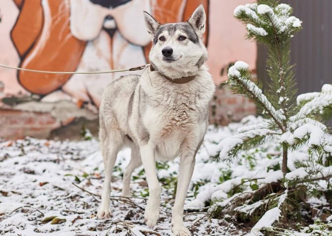 Фото: Іра Шелест