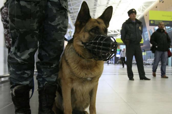 В аеропорту Львова працюватимуть патрульні та кінологи