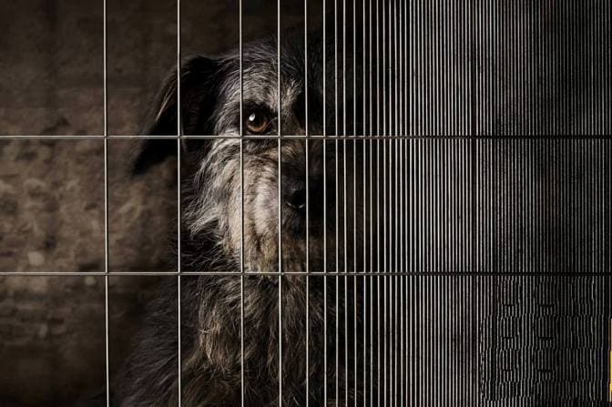 Фото організаторів