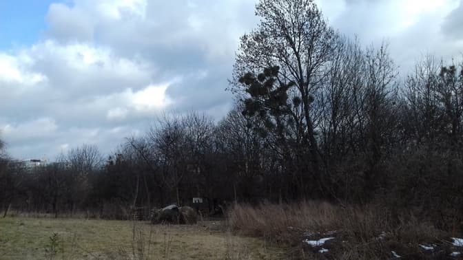 У мікрорайоні Під Голоском у Львові буде новий парк