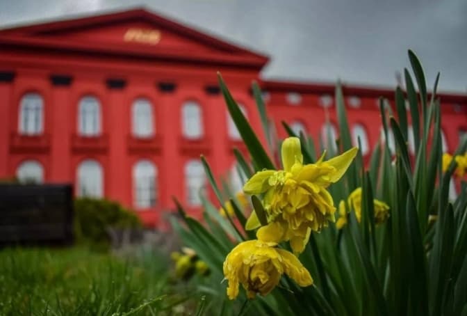 КНУ ім. Тараса Шевченка/Фото: Юлія Кузьменко в Instagram