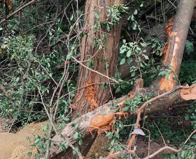 Фото: Львів.Містобудування