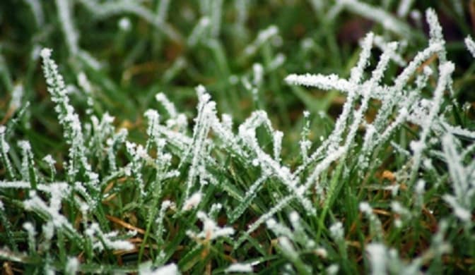 Львів’ян попереджають про заморозки у ніч на 23 квітня